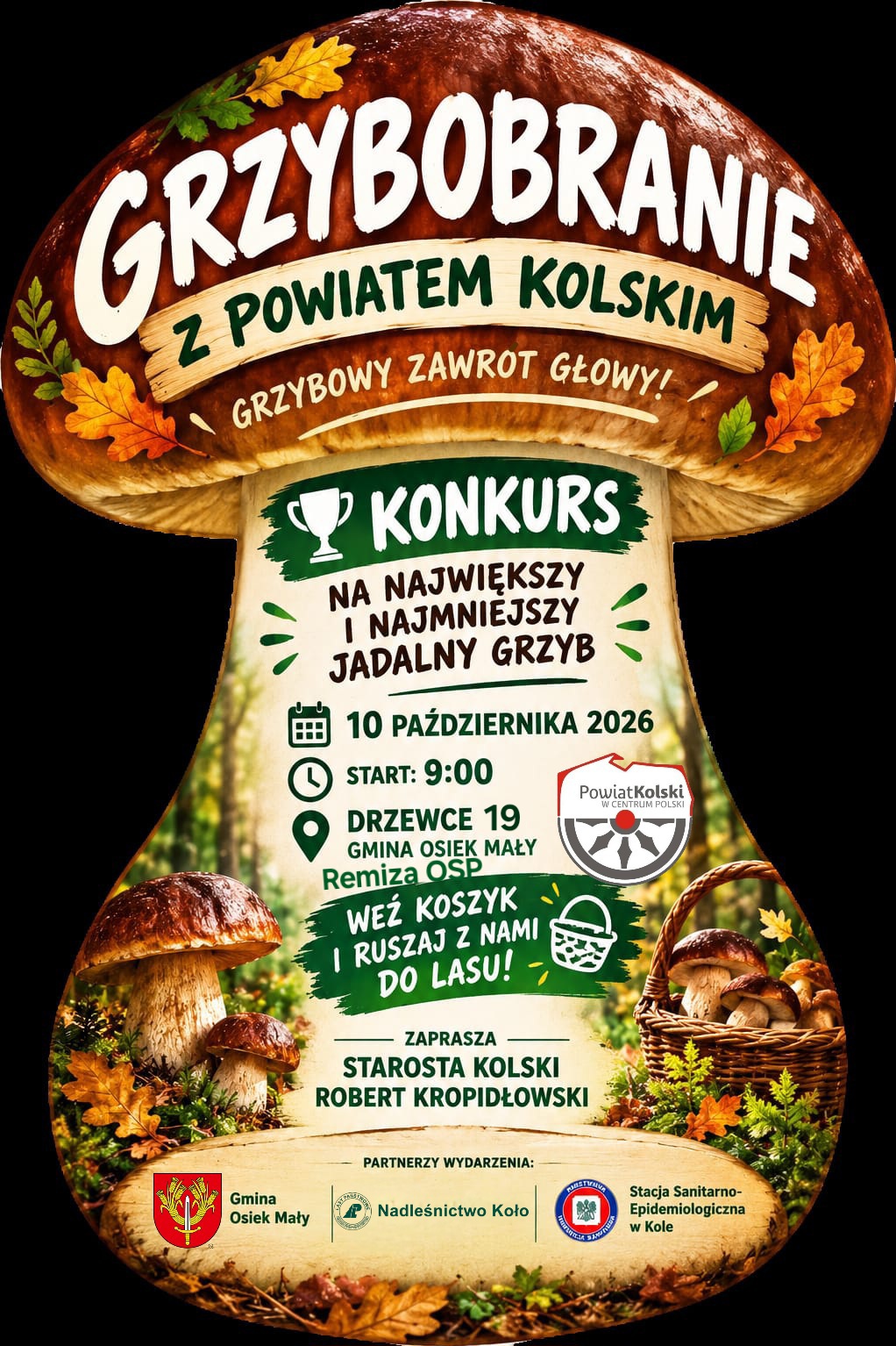 GRZYBOBRANIE Z POWIATEM KOLSKIM! 