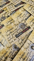 zdjęcie w galerii nr 2041