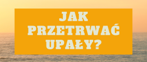 Zdjęcie: Jak przetrwać upał?