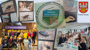 Zdjęcie: CHRONIMY ŚRODOWISKO