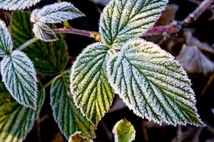 Zdjęcie: Ostrzeżenie meteorologiczne Nr 36