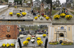 Zdjęcie: Prawie 4 tys. chryzantem udekorowało powiat