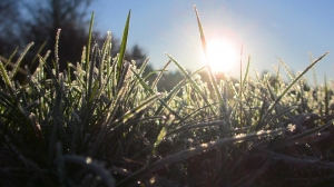 Zdjęcie: Ostrzeżenie meteorologiczne Nr 30 - przymrozki na obszarze powiatu kolskiego